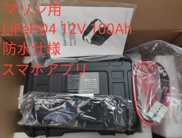 SJY LiFePO4バッテリー 12V 100Ah