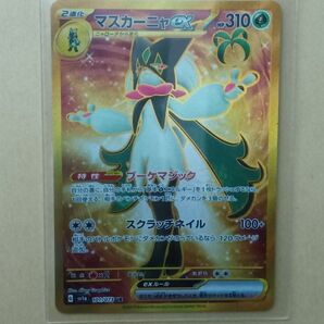 マスカーニャex ポケモンカード