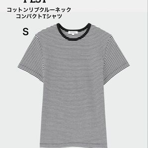 PLST プラステ コットンリブクルーネックコンパクトTシャツ