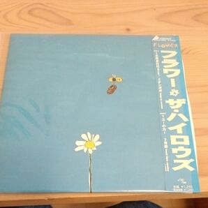ザ ハイロウズ THE HIGH-LOWS フラワー レコード 帯付