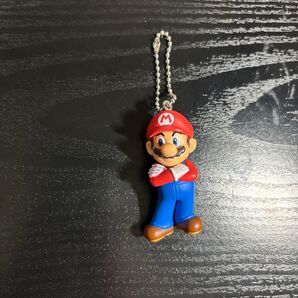 スーパーマリオ マスコットチャームコレクション