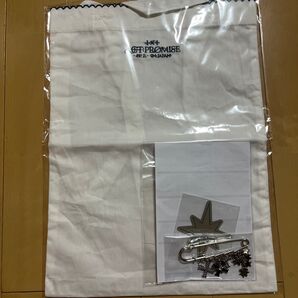 TXT TOMORROW X TOGETHER アプグレ プレミアムシート 特典