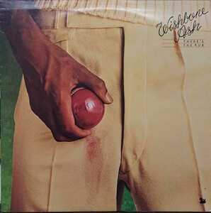 ☆特選☆WISHBONE ASH/THERE`S THE RUB`1974UK MCA MAT.1 ORG