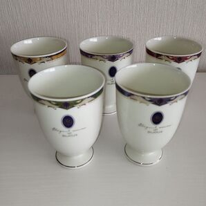 【最終値下げ】未使用 Ryuho ピサ サロンセット フリーカップ