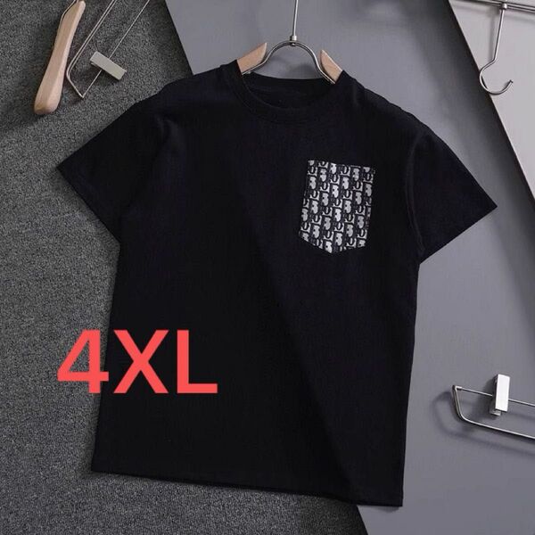 Tシャツ 半袖 4XL