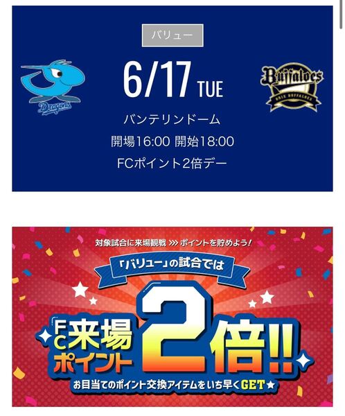 中日ドラゴンズチケット 6/17火 ドラゴンズ内野応援席