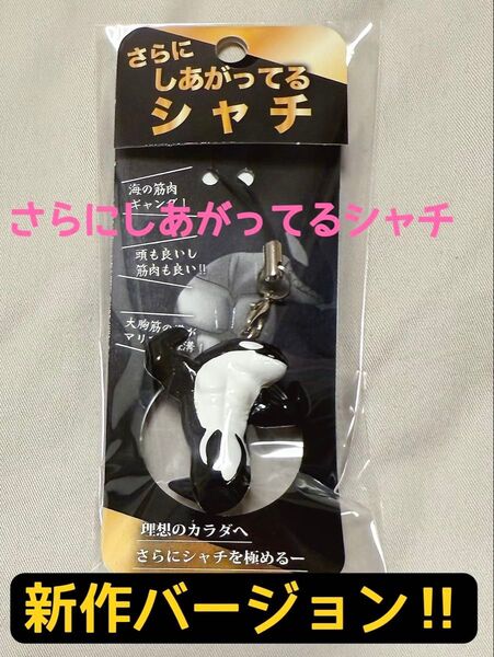 NEW!「さらに しあがってるシャチ」 新作です 新品未開封 須磨シーワールド