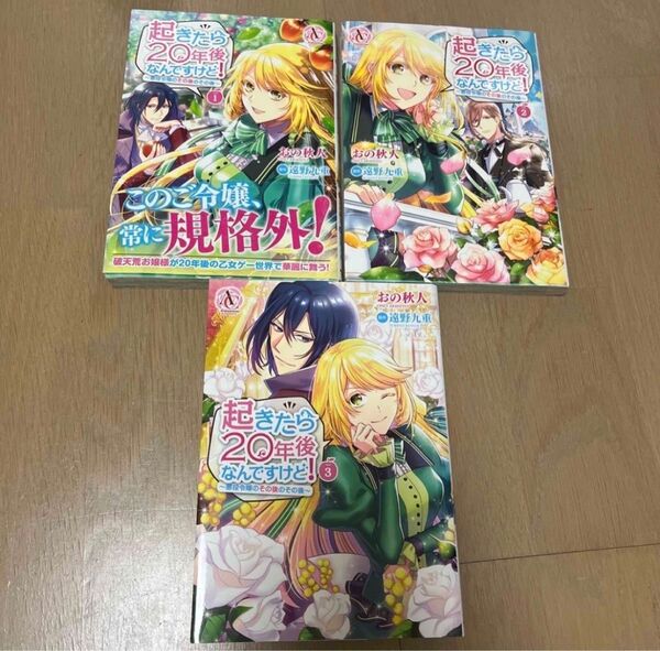 起きたら20年後なんですけど! 悪役令嬢のその後のその後 おの秋人/漫画 遠野九重/原作1〜3巻 漫画 コミック