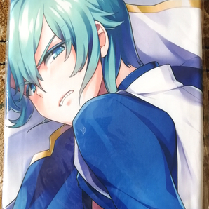 ELSWORD エルソード 抱き枕カバー アイン