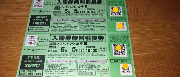 みずほPayPayドーム 6/5(木) ソフトバンクホークスVS中日ドラゴンズ 交流戦チケット2枚