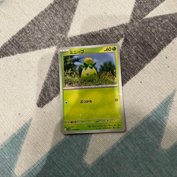 ポケモンカード ポケカ ミニーブ S プロモ sv-p 色違い ニャオハ パモ ホゲータ