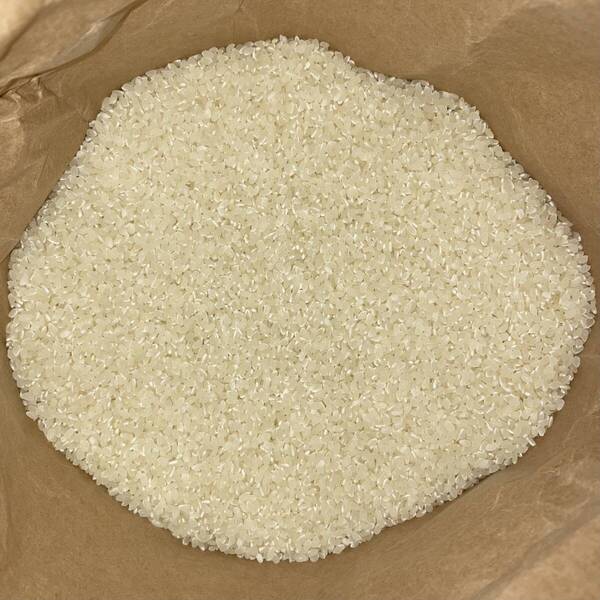 令和6年 福井県産 コシヒカリ 米 20kg 農薬不使用 化学肥料不使用 白米 20キロ