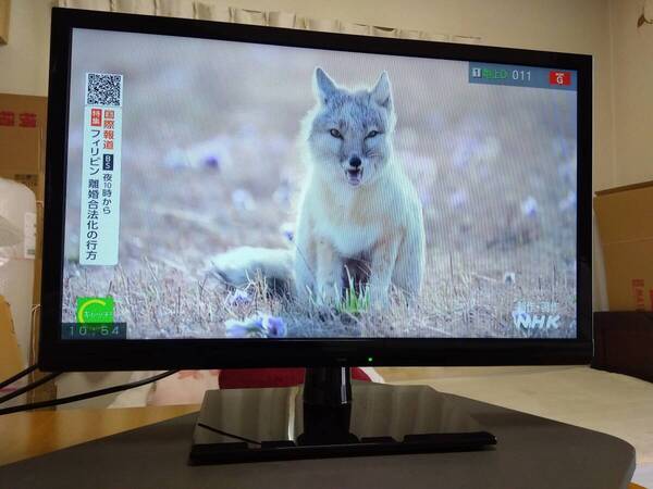 Panasonic 24型 液晶テレビ TH-24D300 2016年製 BCAS、リモコン、各種ケーブルつき