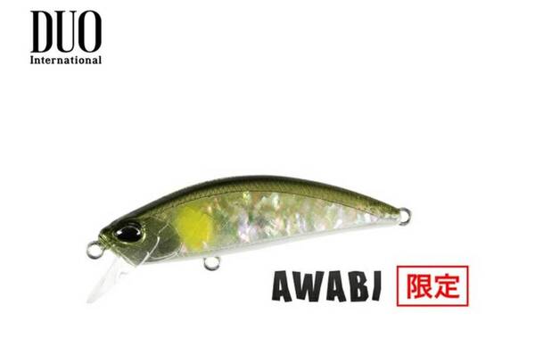 ★新品未使用★ Duo デュオ 24スピアヘッド リュウキ70S アワビ CCC4114 アユアワビ トラウト 渓流