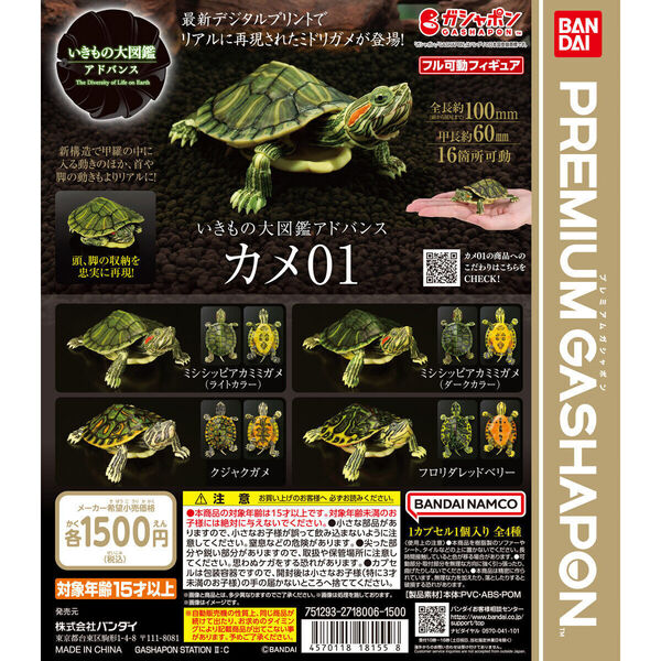 いきもの大図鑑アドバンス カメ01 全4種セット 未使用新品 送料込み
