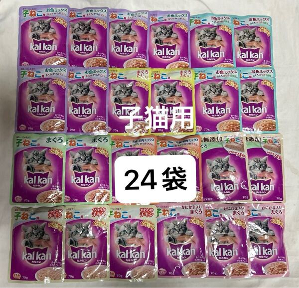 【子猫用】カルカンパウチ ゼリー仕立て他 子猫用総合栄養食ウェットフード 70g 24袋 お魚ミックスなど 子ねこ用