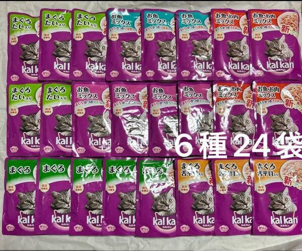 カルカンパウチ 70g 24袋 ウェットフード 成猫用総合栄養食ウェットフード kalkan キャットフード ゼリー仕立て