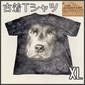 【美品】古着 Tシャツ 半袖 マウンテン 黒 犬 アニマルTシャツ 90年代 USA レトロ ヴィンテージ