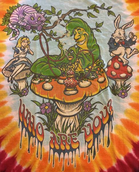 Alice in Wonderland We’re All Mad Here Liquid Blue T-Shirt size M