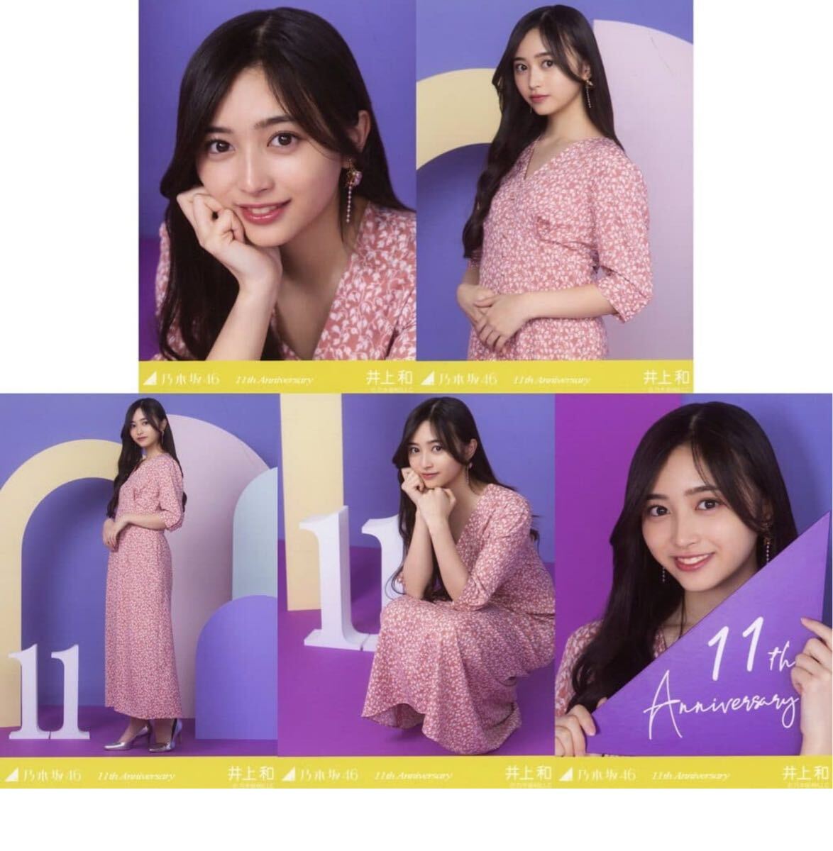乃木坂46 井上和 生写真 13周年記念 Anniversary 5種 コンプ