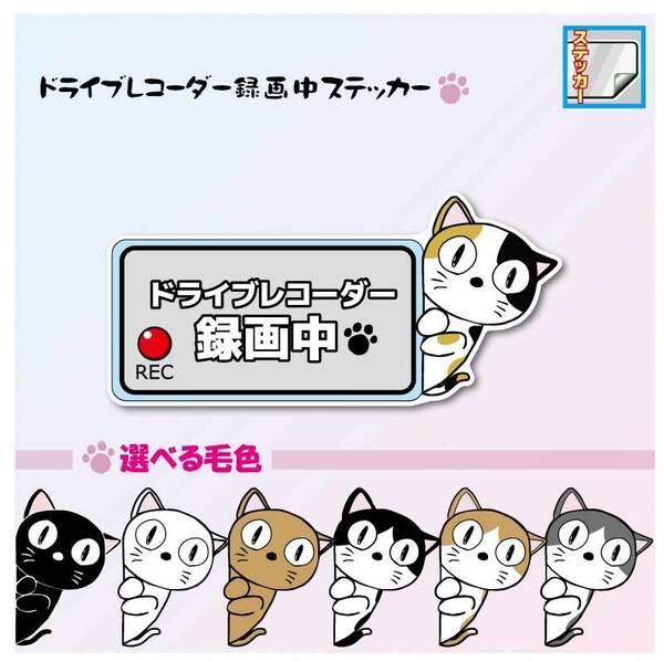 ねこ ドライブレコーダー録画中ステッカー 選べる毛色! ドラレコ 猫 ねこ ひょっこり♪ かわいい オリジナル
