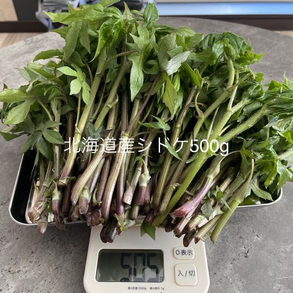 北海道産 天然物 シドケ (モミジガサ) 500g