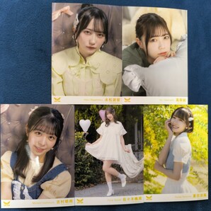 ラフラフ ラフ×ラフ ライブイベント時物販品2025年「君ときゅんと」ver.生写真5枚セット