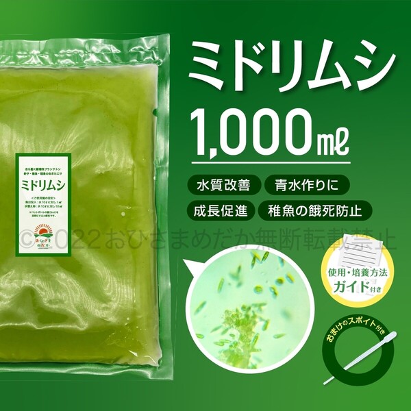 【ミドリムシ 種水 1000ml】めだか メダカ 針子 エサ 稚魚 ベタ psb 金魚 ミジンコ クロレラ 針子メダカ卵青水 に スポイトあり