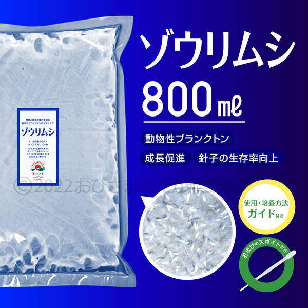 送料無料【ゾウリムシ 種水 800ml】めだか メダカ 針子 稚魚 餌 psb 金魚 青水 PSB クロレラ ミドリムシ に