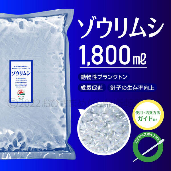 送料無料【ゾウリムシ 種水 1800ml】めだか メダカ 針子 稚魚 餌 psb 金魚 青水 PSB クロレラ ミドリムシ に