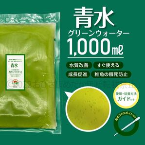 【青水 グリーンウォーター 1000ml】メダカ めだか 稚魚 クロレラ ミジンコ ゾウリムシ PSB 針子メダカ卵針子にどうぞスポイト