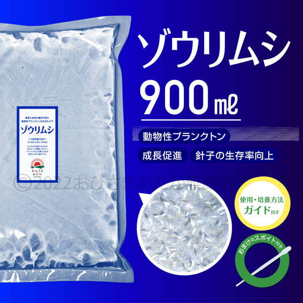 送料無料【ゾウリムシ 種水 900ml】めだか メダカ 針子 稚魚 餌 psb 金魚 青水 PSB クロレラ ミドリムシ に