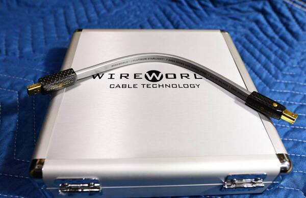 WireWorld Wire World ワイヤーワールド Platinum Starlight 7 銀線 USBケーブル PSB7/0.3m 30㎝ アメリカンサウンド