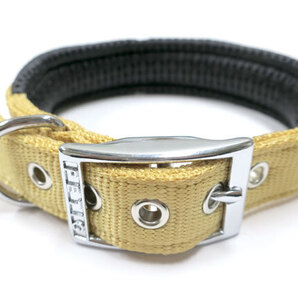 【パッケージなし・訳あり】ペティオ 大型犬用首輪 マスタード 首回り36-43cm 首への負担を考えたクッション入り