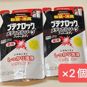 ブテナロックメディカルソープフット&ボディ つめかえ用 250ml 久光製薬 ×2個