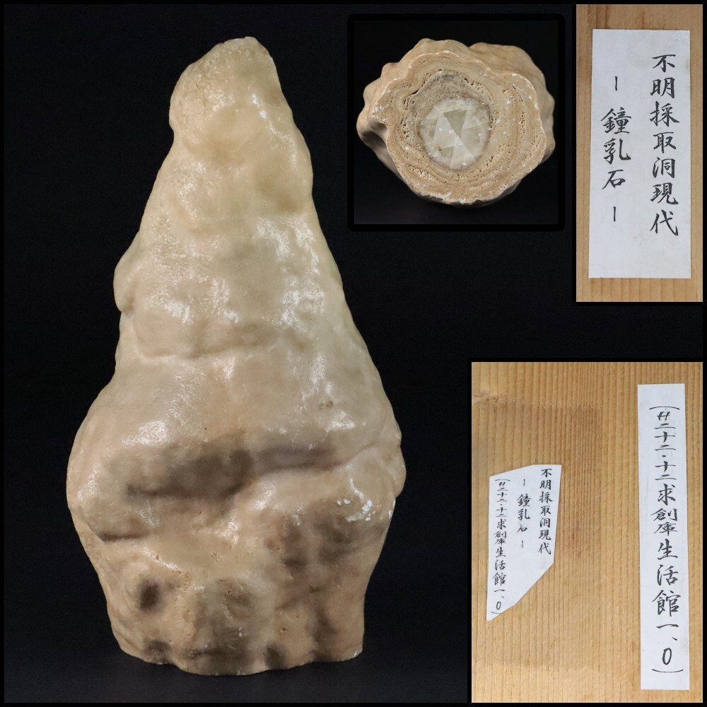 2025年最新】Yahoo!オークション -鍾乳石(科学、自然)の中古品