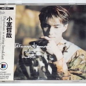 帯付き CD 小室哲哉 Digitalian is eating breakfast RUNNING TO HORIZON シティーハンター CITY HUNTER 主題歌 TMネットワーク TMN