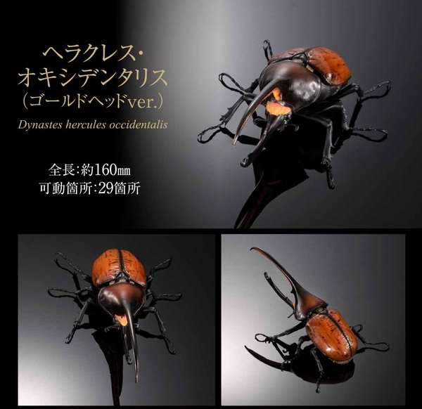 いきもの大図鑑アドバンス ヘラクレス・オキシデンタリス(ゴールドヘッドver.) 未開封 オンライン版