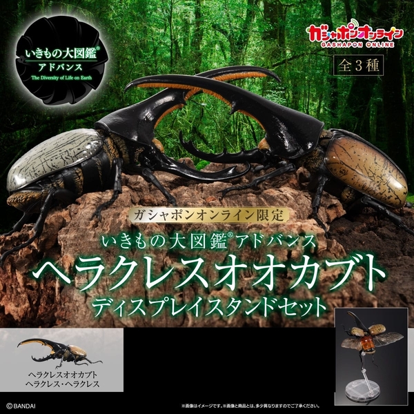 いきもの大図鑑アドバンス ヘラクレスオオカブト ディスプレイスタンドセット ヘラクレス・ヘラクレス 未開封