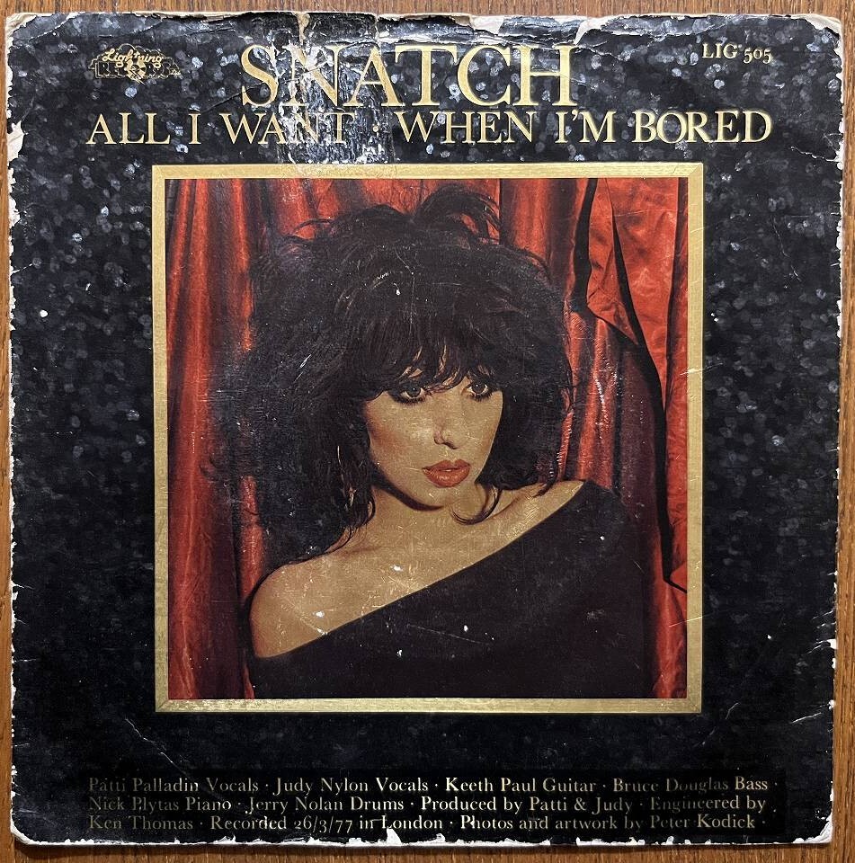 STIV BATORS 7インチ パワーポップ名曲 パンク天国 powerpop
