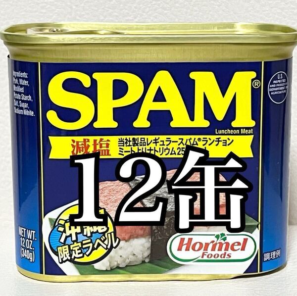 スパムポーク(減塩)12缶 ポークランチョンミート