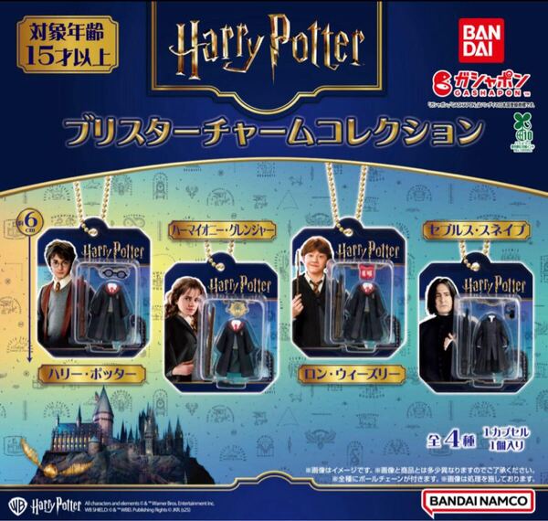 ハリー・ポッター ブリスターチャームコレクション 全4種セット