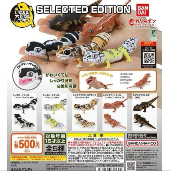 いきもの大図鑑レプティ SELECTED EDITION 全5種セット
