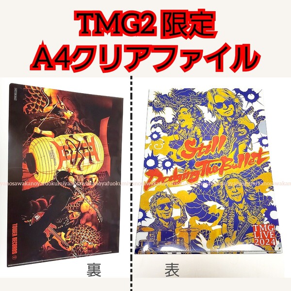 TMG LIVE 2024 Still Dodging The Bullet 店舗別予約先着購入特典 DVD BluRay クリアファイル タワーレコード タワレコ B’z 松本孝弘