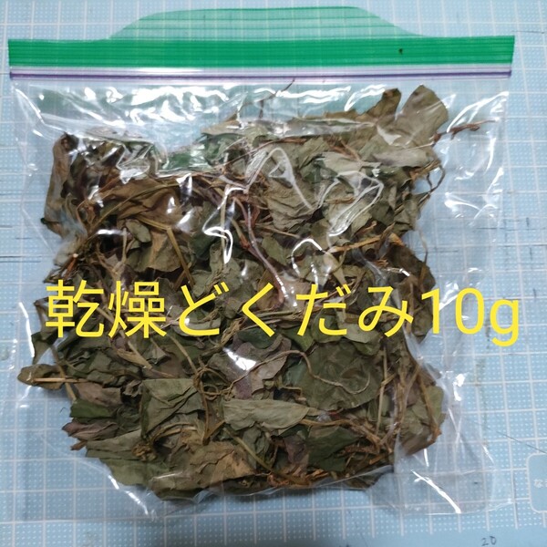 どくだみ 乾燥 10g以上