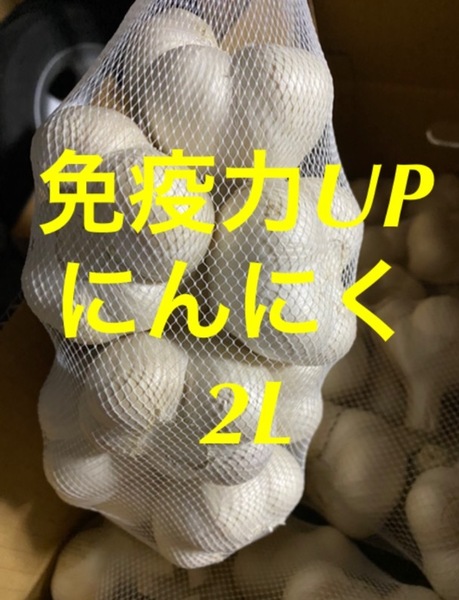 青森県にんにく5Kg 2L