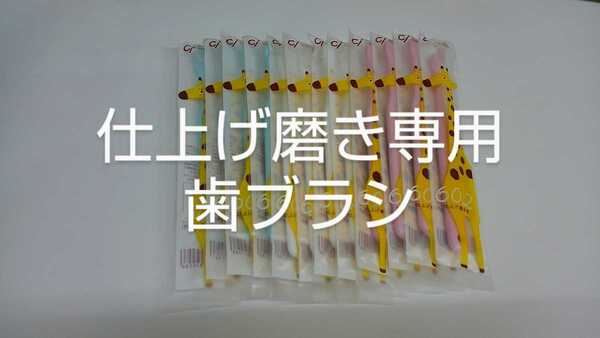 12本 歯科医院専用仕上げ磨き用歯ブラシ Ci602 ふつう