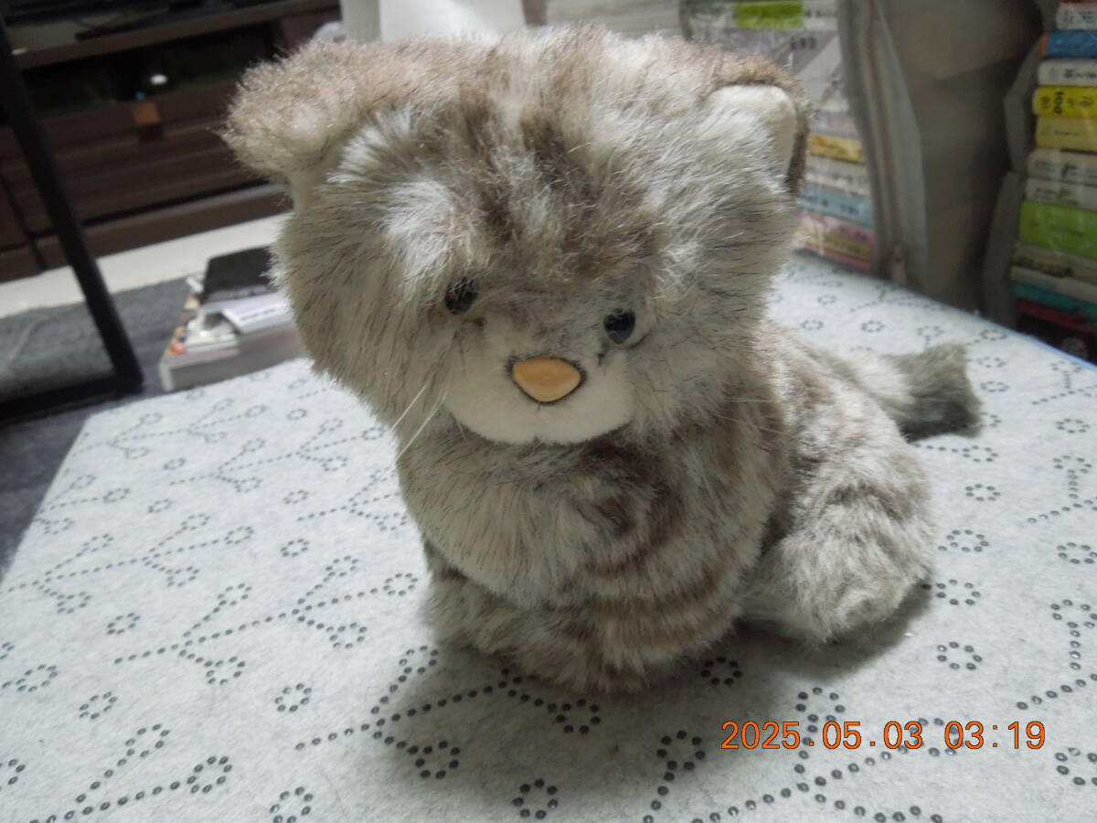 昭和レトロ　アンティーク　リアル猫　ぬいぐるみ　コモ　レイ　日本製　貴重　白猫 三英 貿易 ぬいぐるみ 猫 Cat 昭和レトロ アンティーク - メルカリ