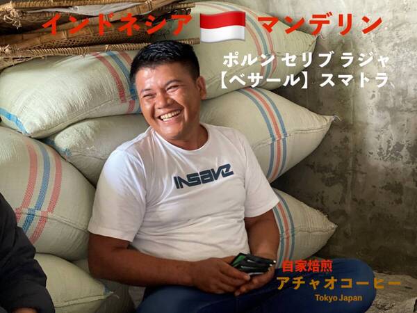 自家焙煎アチャオコーヒー 朱玉の一品 インドネシア マンデリン ポルン セリブ ラジャ【ベサール】スマトラ 焙煎したて400g
