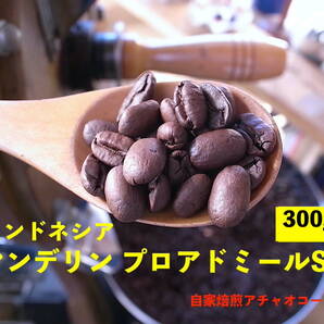 自家焙煎アチャオコーヒー スマトラの太陽 インドネシア マンデリン プロアドミールSG 焙煎したて〜300g(100gx3袋) 送料込〜